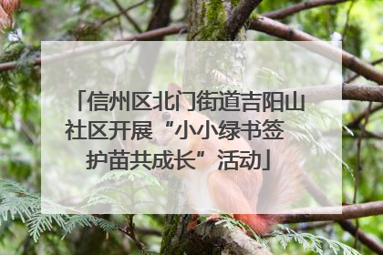 信州区北门街道吉阳山社区开展“小小绿书签 护苗共成长”活动