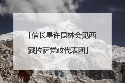 信长星许昆林会见西藏拉萨党政代表团