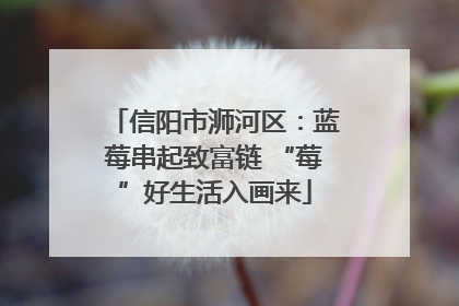 信阳市浉河区：蓝莓串起致富链 “莓”好生活入画来