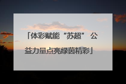 体彩赋能“苏超” 公益力量点亮绿茵精彩