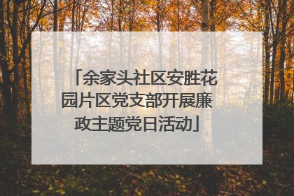 余家头社区安胜花园片区党支部开展廉政主题党日活动