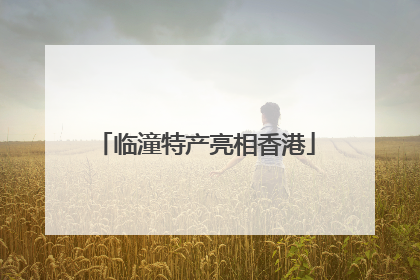 临潼特产亮相香港