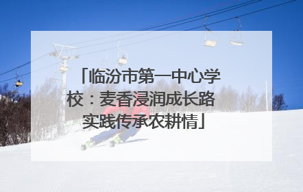 临汾市第一中心学校：麦香浸润成长路 实践传承农耕情