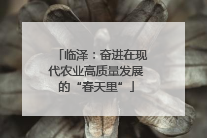 临泽：奋进在现代农业高质量发展的“春天里”
