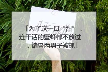 为了这一口“甜”，连干活的蜜蜂都不放过，诸暨两男子被抓