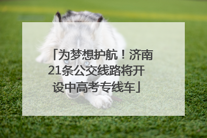 为梦想护航！济南21条公交线路将开设中高考专线车