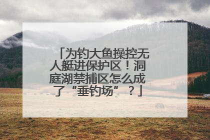 为钓大鱼操控无人艇进保护区！洞庭湖禁捕区怎么成了“垂钓场”？