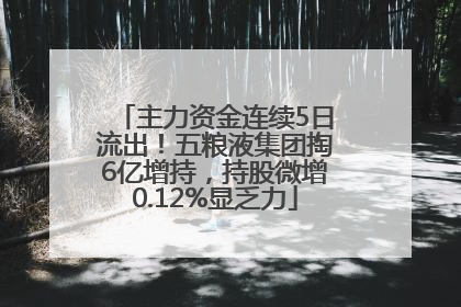 主力资金连续5日流出！五粮液集团掏6亿增持，持股微增0.12%显乏力