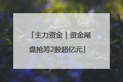 主力资金｜资金尾盘抢筹2股超亿元