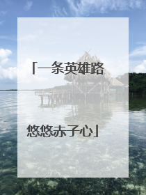一条英雄路 悠悠赤子心