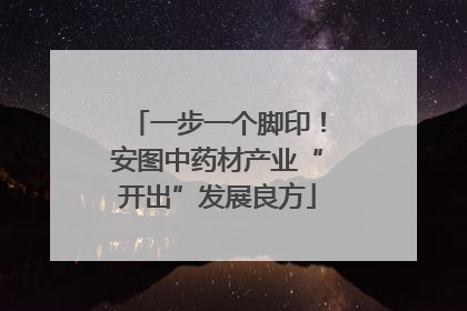 一步一个脚印！安图中药材产业“开出”发展良方