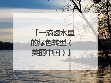 一滴卤水里的绿色转型（美丽中国）