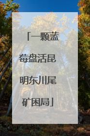 一颗蓝莓盘活昆明东川尾矿困局