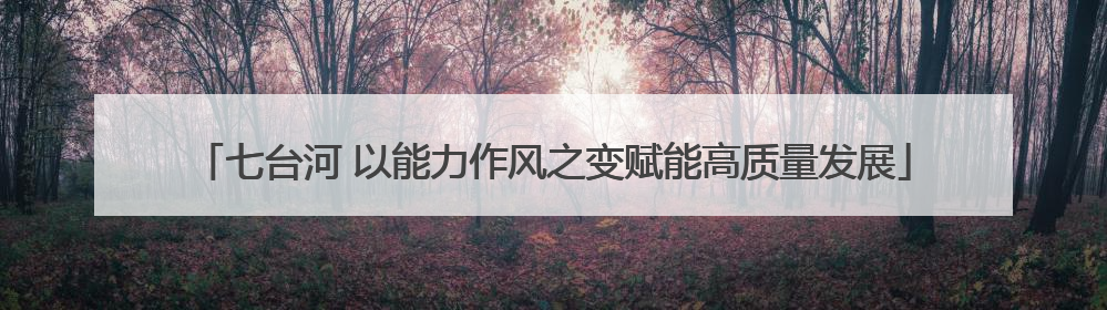 七台河 以能力作风之变赋能高质量发展
