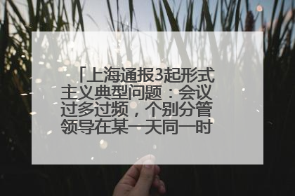 上海通报3起形式主义典型问题：会议过多过频，个别分管领导在某一天同一时段需参加3个会议