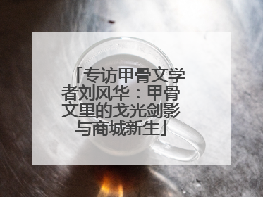 专访甲骨文学者刘风华：甲骨文里的戈光剑影与商城新生