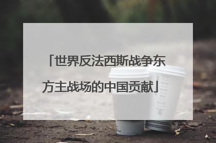 世界反法西斯战争东方主战场的中国贡献