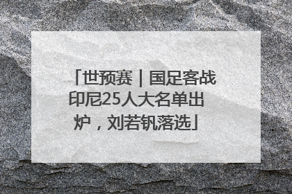 世预赛｜国足客战印尼25人大名单出炉，刘若钒落选