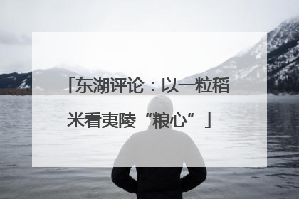 东湖评论：以一粒稻米看夷陵“粮心”