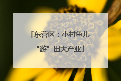东营区：小村鱼儿“游”出大产业