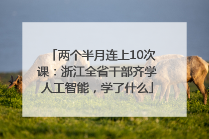 两个半月连上10次课：浙江全省干部齐学人工智能，学了什么