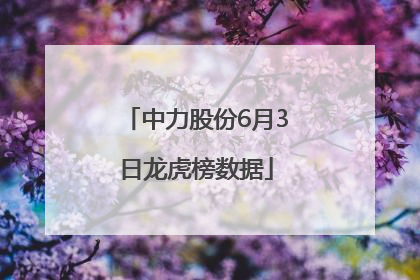 中力股份6月3日龙虎榜数据