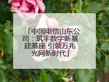 中国电信山东公司：筑牢数字新基建基座 引领万兆光网新时代