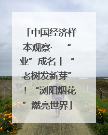中国经济样本观察·一“业”成名丨“老树发新芽”！“浏阳烟花”燃亮世界