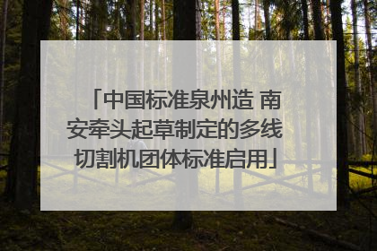 中国标准泉州造 南安牵头起草制定的多线切割机团体标准启用