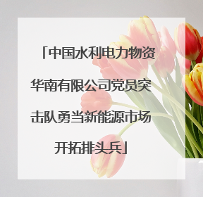 中国水利电力物资华南有限公司党员突击队勇当新能源市场开拓排头兵