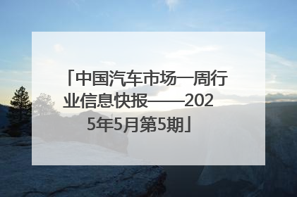 中国汽车市场一周行业信息快报——2025年5月第5期