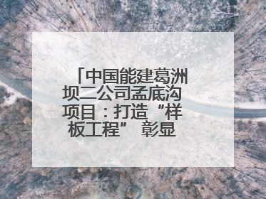 中国能建葛洲坝二公司孟底沟项目：打造“样板工程” 彰显“水电王牌”