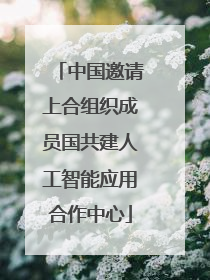 中国邀请上合组织成员国共建人工智能应用合作中心