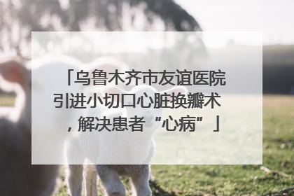 乌鲁木齐市友谊医院引进小切口心脏换瓣术，解决患者“心病”