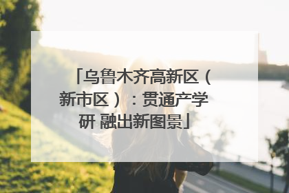 乌鲁木齐高新区（新市区）：贯通产学研 融出新图景