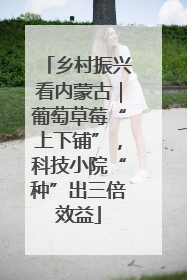 乡村振兴看内蒙古｜葡萄草莓“上下铺”，科技小院“种”出三倍效益