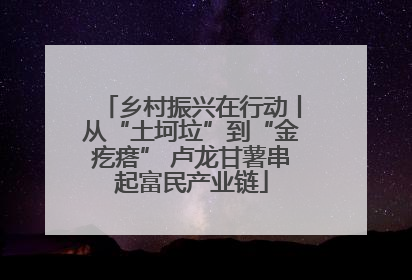 乡村振兴在行动丨从“土坷垃”到“金疙瘩” 卢龙甘薯串起富民产业链