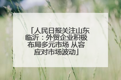人民日报关注山东临沂：外贸企业积极布局多元市场 从容应对市场波动