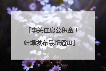 事关住房公积金！蚌埠发布最新通知