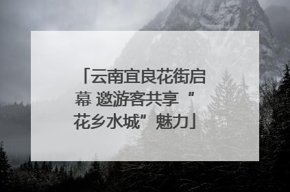云南宜良花街启幕 邀游客共享“花乡水城”魅力
