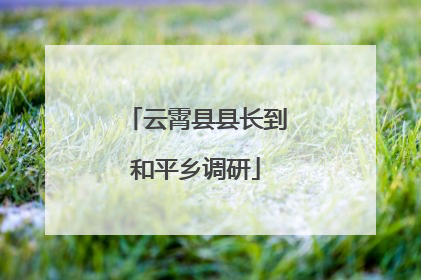 云霄县县长到和平乡调研