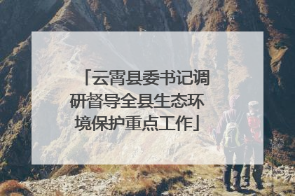 云霄县委书记调研督导全县生态环境保护重点工作