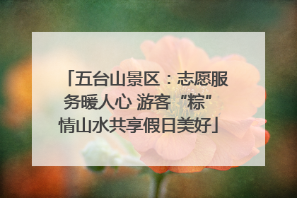 五台山景区：志愿服务暖人心 游客“粽”情山水共享假日美好
