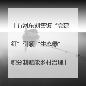 五河东刘集镇“党建红”引领“生态绿” 积分制赋能乡村治理