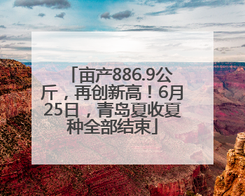 亩产886.9公斤，再创新高！6月25日，青岛夏收夏种全部结束