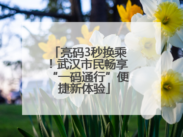 亮码3秒换乘！武汉市民畅享“一码通行”便捷新体验