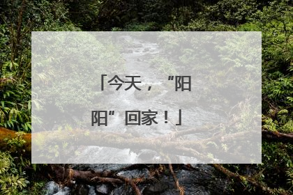 今天，“阳阳”回家！