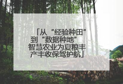 从“经验种田”到“数据种地” 智慧农业为夏粮丰产丰收保驾护航
