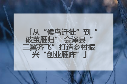 从“候鸟迁徙”到“破茧雁归” 会泽县“三翼齐飞”打造乡村振兴“创业雁阵”