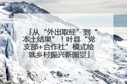 从“外出取经”到“本土结果”！叶县“党支部+合作社”模式绘就乡村振兴新图景
